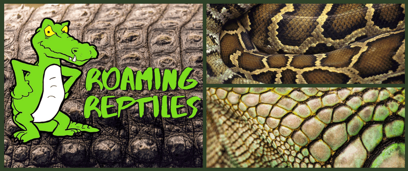 Roaming Reptiles