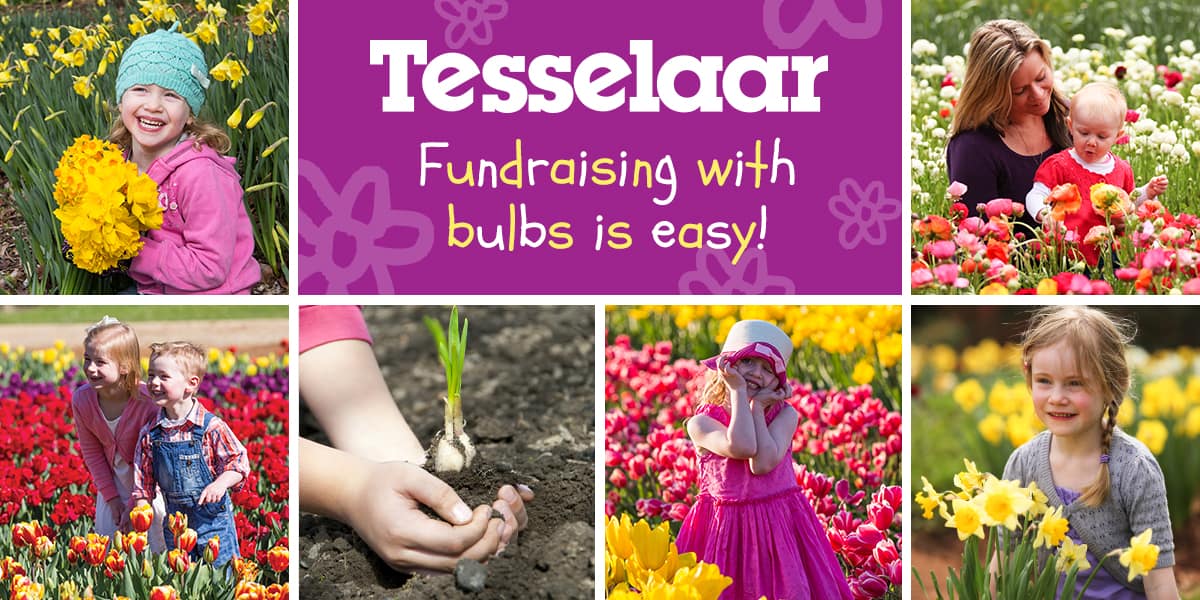 Tesselaar Direct Fundraising